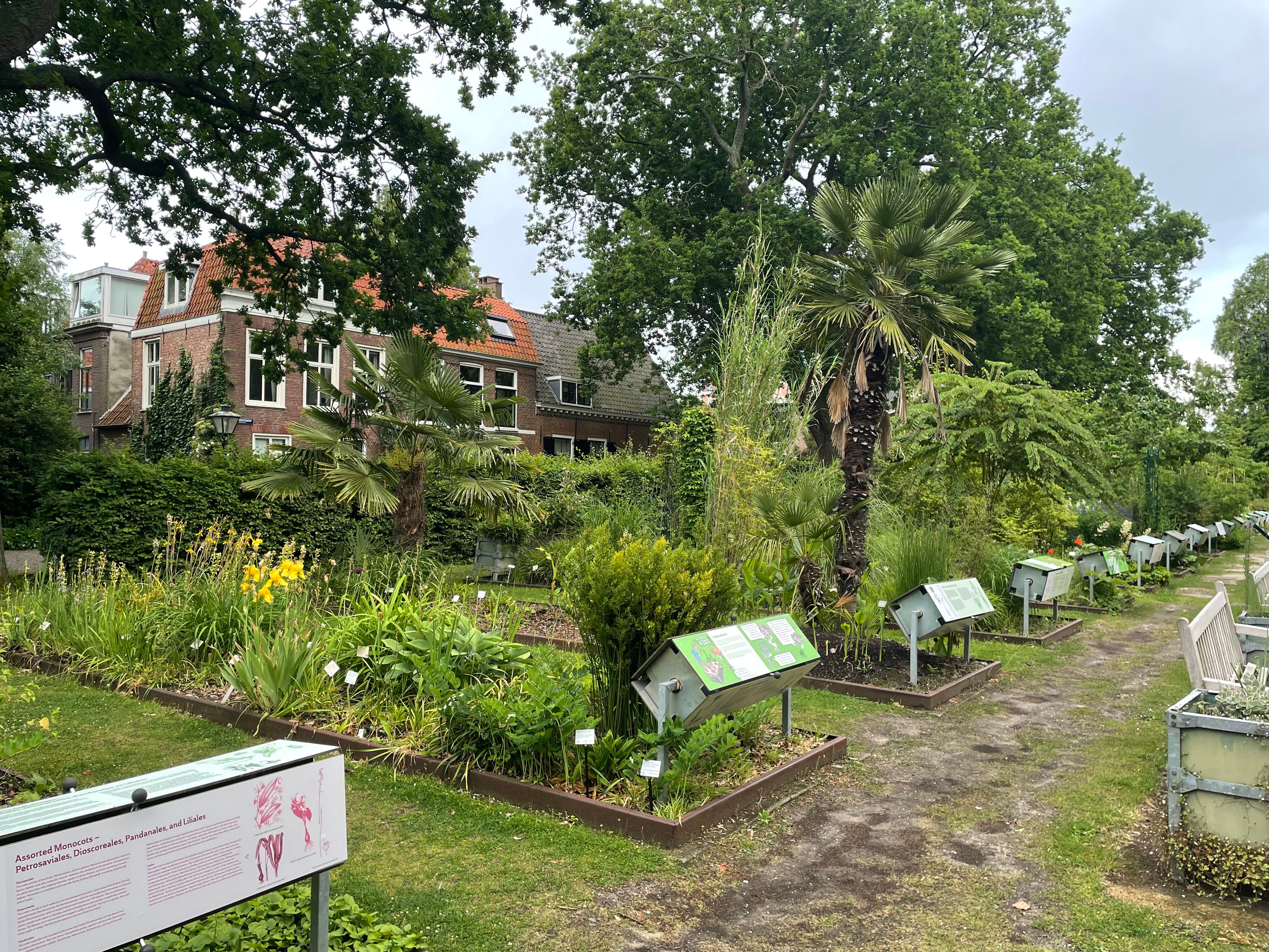 莱顿大学植物园